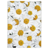 Gänseblümchen Klemmbrett (Rückseite)