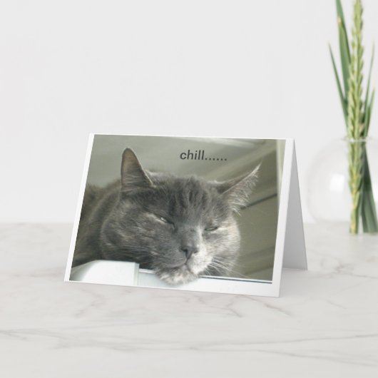 Gänseblümchen-Kühlen Karte (Vorderseite)