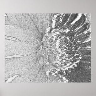 Gänseblümchen Kunst Poster