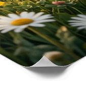 Gänseblümchen Lamm Frühjahrsweide Poster (Ecke)