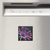 Gänseblümchen Liebe Magnet (In Situ (Geschirrspüler))