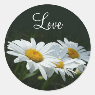 Gänseblümchen-Liebe Runder Aufkleber