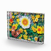 Gänseblümchen Mai Fotoblock (Rechts)