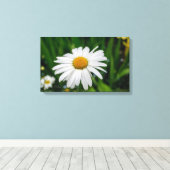 Gänseblümchen mit Wasser eingewickelter Leinwand (Insitu (Holzboden))