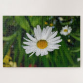 Gänseblümchen mit Wasser-Puzzlespiel Puzzle (Horizontal)