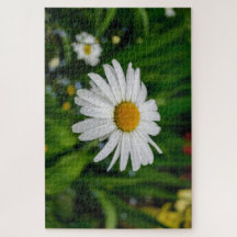 Gänseblümchen mit Wasser-Puzzlespiel