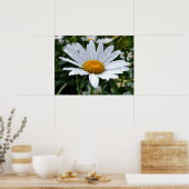 Gänseblümchen Morgentau Poster (Küche)