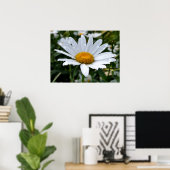 Gänseblümchen Morgentau Poster (Heimbüro)