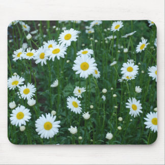 Gänseblümchen - Mousepad