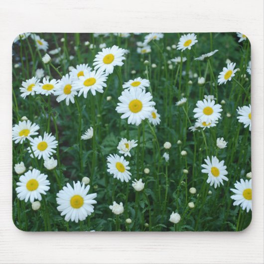 Gänseblümchen - Mousepad (Vorne)