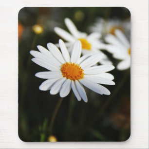 Gänseblümchen Mousepad