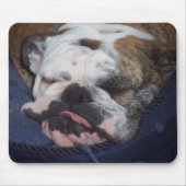 Gänseblümchen Mousepad (Vorne)