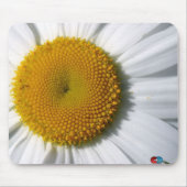 Gänseblümchen Mousepad (Vorne)
