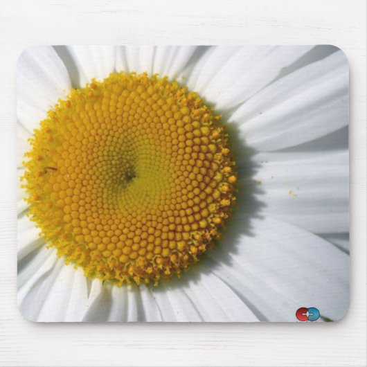 Gänseblümchen Mousepad (Vorne)