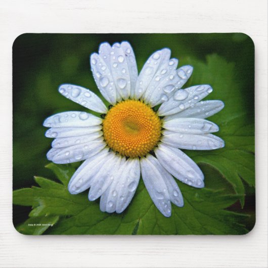 Gänseblümchen Mousepad (Vorne)