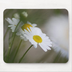 Gänseblümchen Mousepad