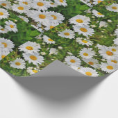 Gänseblümchen-Packpapier Geschenkpapier (Ecke)