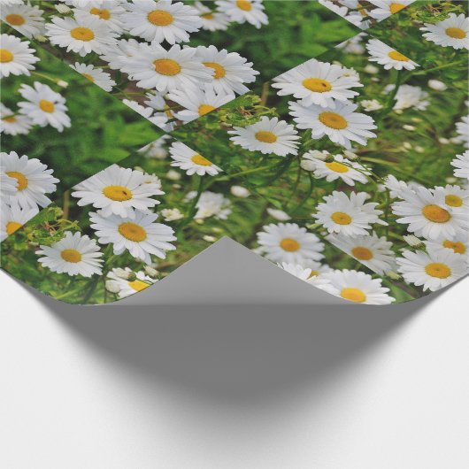 Gänseblümchen-Packpapier Geschenkpapier (Ecke)