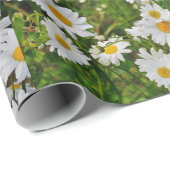 Gänseblümchen-Packpapier Geschenkpapier (Rolleneckpunkt)