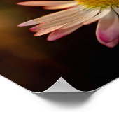 Gänseblümchen Poster (Ecke)