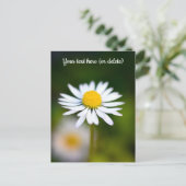 Gänseblümchen Postkarte (Stehend Vorderseite)