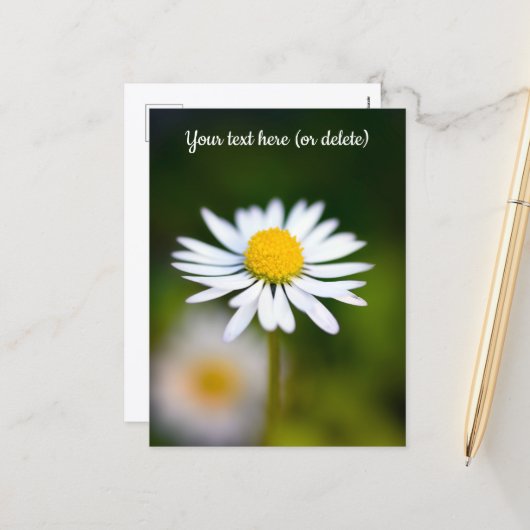 Gänseblümchen Postkarte (Vorderseite/Rückseite Beispiel)