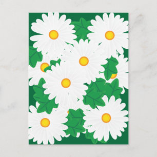 Gänseblümchen Postkarte