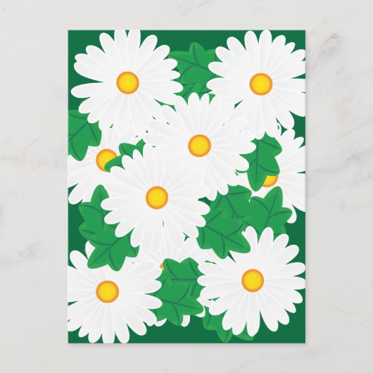 Gänseblümchen Postkarte (Vorderseite)