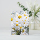 Gänseblümchen Postkarte (Stehend Vorderseite)