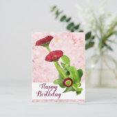 Gänseblümchen Postkarte (Stehend Vorderseite)