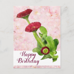 Gänseblümchen Postkarte