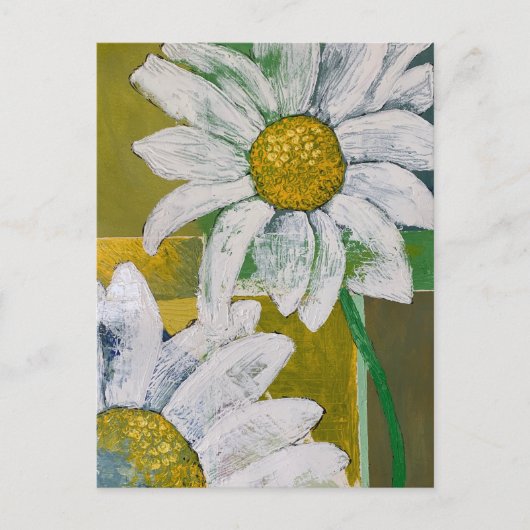Gänseblümchen-Postkarte Postkarte (Vorderseite)