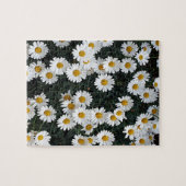 Gänseblümchen Puzzle (Horizontal)