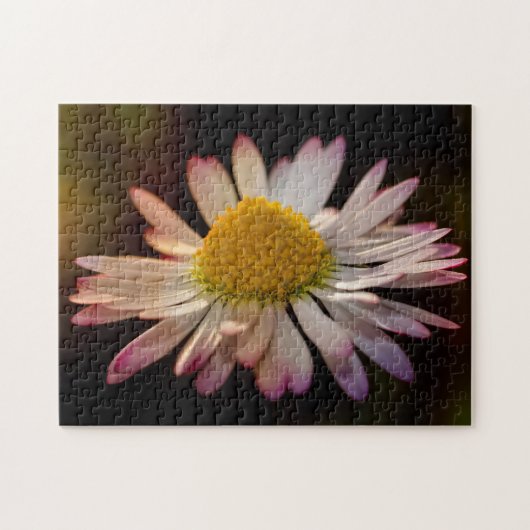 Gänseblümchen Puzzle (Horizontal)