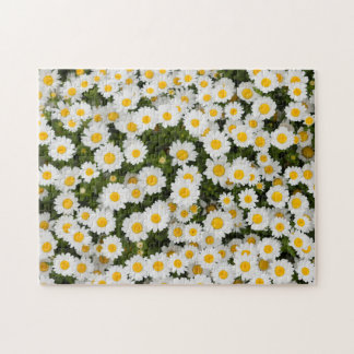 Gänseblümchen Puzzle