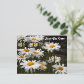 Gänseblümchen Save The Date Postkarte (Stehend Vorderseite)