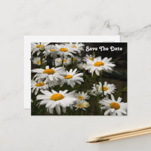 Gänseblümchen Save The Date Postkarte