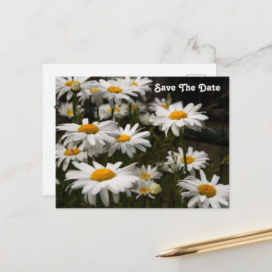 Gänseblümchen Save The Date Postkarte (Vorderseite/Rückseite Beispiel)