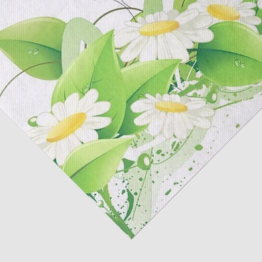 Gänseblümchen Seidenpapier (Ausschnitt)