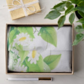 Gänseblümchen Seidenpapier (Geschenk)