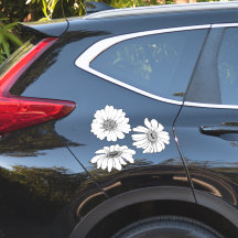Gänseblümchen-Set aus 3 Gänseblümchen ideal für Au