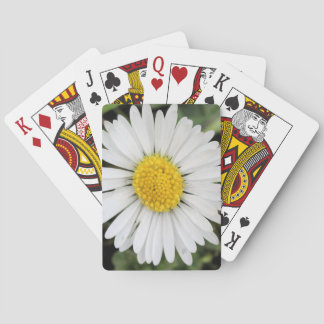 Gänseblümchen Spielkarten