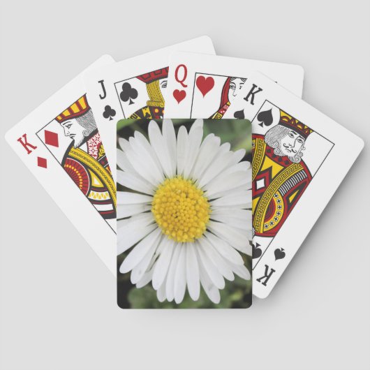 Gänseblümchen Spielkarten (Rückseite)