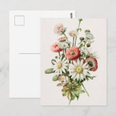 Gänseblümchen-Strauß Postkarte (Vorne/Hinten)