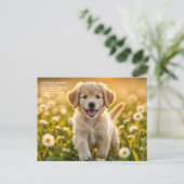 Gänseblümchen Symbolik Postkarte (Stehend Vorderseite)