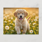 Gänseblümchen Symbolik Postkarte (Vorderseite)