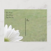 Gänseblümchen-Thema Ankündigungspostkarte (Rückseite)