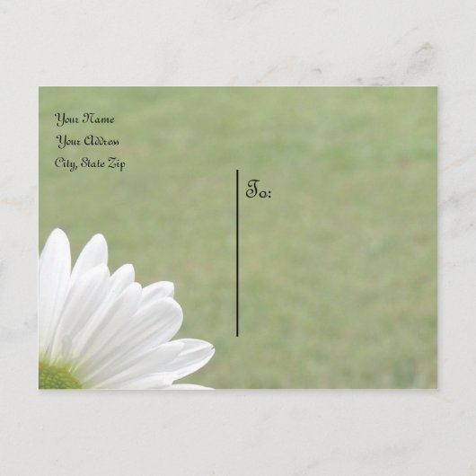 Gänseblümchen-Thema Ankündigungspostkarte (Rückseite)