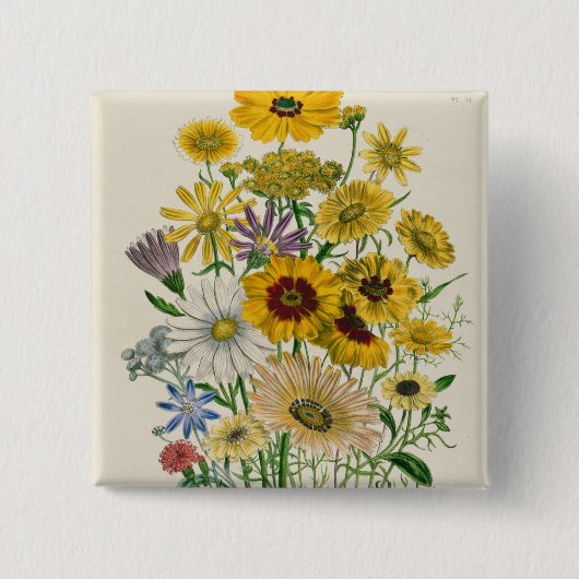 Gänseblümchen, überziehen 31 "von den Damen Button (Vorderseite)