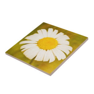 Gänseblümchen und der einsame Sommer Fliese